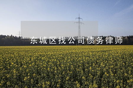 东城区找公司债务律师 东城区找公司债务律师
