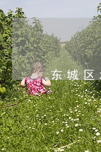 东城区承包合同纠纷律师