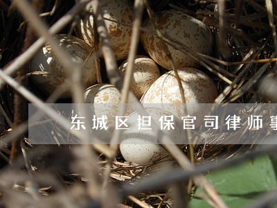 东城区担保官司律师事务所 东城区担保官司律师事务所