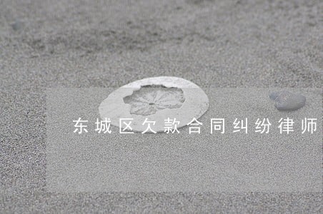 东城区欠款合同纠纷律师收费 东城区欠款合同纠纷律师收费