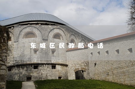 东城区民政局电话 东城区民政局电话