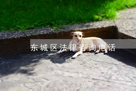 东城区法律咨询电话 东城区法律咨询电话