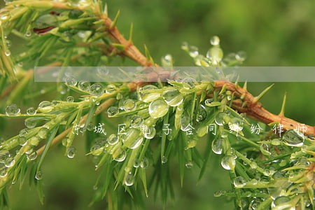 东城区电子合同纠纷律师咨询电话 东城区电子合同纠纷律师咨询电话