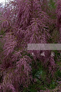 东城区知名刑事立案律师咨询 东城区知名刑事立案律师咨询