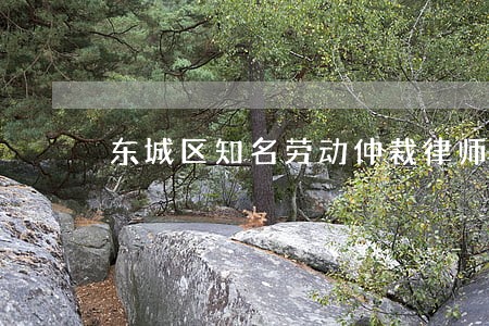 东城区知名劳动仲裁律师收费 东城区知名劳动仲裁律师收费