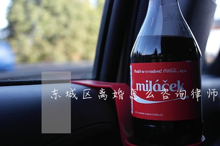 东城区离婚怎么咨询律师 东城区离婚怎么咨询律师