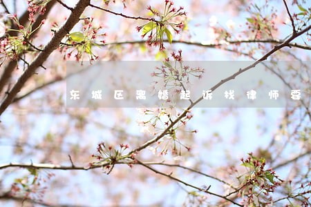 东城区离婚起诉找律师要多少钱 东城区离婚起诉找律师要多少钱