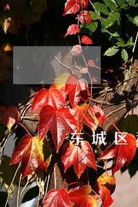 东城区税务纠纷律师多少钱 东城区税务纠纷律师多少钱