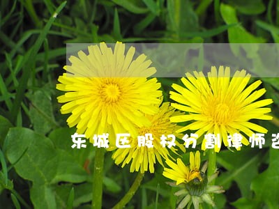 东城区股权分割律师咨询