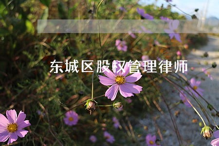 东城区股权管理律师 东城区股权管理律师