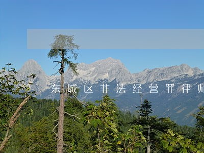 东城区非法经营罪律师哪个好