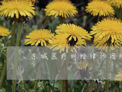 东城医疗纠纷律师团队所