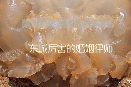 东城厉害的婚姻律师 东城厉害的婚姻律师