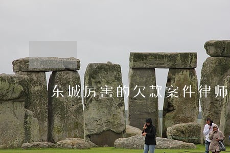 东城厉害的欠款案件律师
