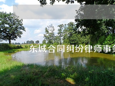 东城合同纠纷律师事务所 东城合同纠纷律师事务所