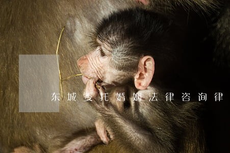 东城委托婚姻法律咨询律师