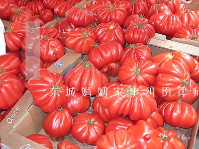 东城婚姻家事纠纷律师 东城婚姻家事纠纷律师