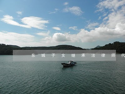 东城子女继承法律师代理诉讼