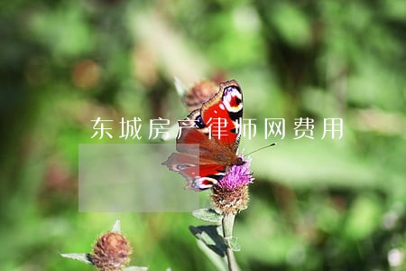 东城房产律师网费用 东城房产律师网费用