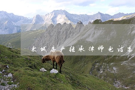东城房产继承律师电话委托 东城房产继承律师电话委托
