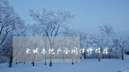 东城房地产合同律师推荐 东城房地产合同律师推荐