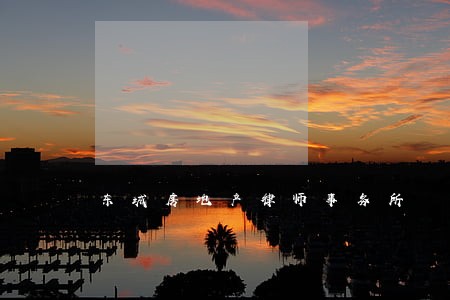 东城房地产律师事务所 东城房地产律师事务所