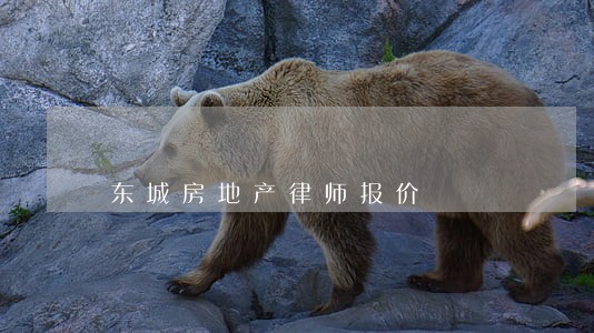 东城房地产律师报价