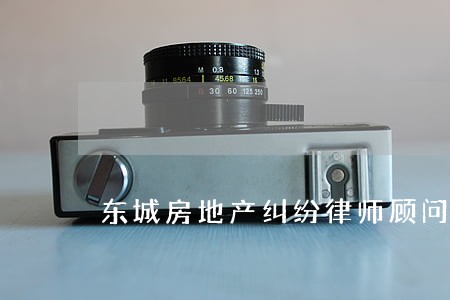 东城房地产纠纷律师顾问 东城房地产纠纷律师顾问