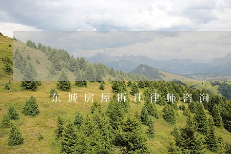 东城房屋拆迁律师咨询