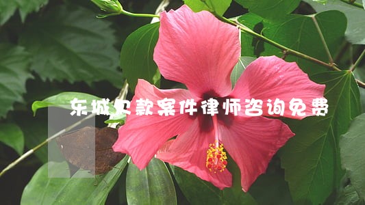 东城欠款案件律师咨询免费 东城欠款案件律师咨询免费