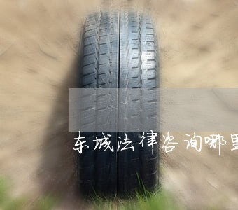 东城法律咨询哪里有 东城法律咨询哪里有