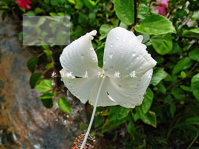 东城法院做保全 东城法院做保全