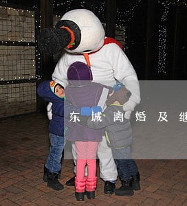 东城离婚及继承律师代理诉讼 东城离婚及继承律师代理诉讼