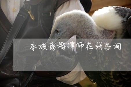 东城离婚律师在线咨询 东城离婚律师在线咨询