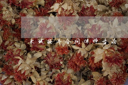 东城经济合同律师咨询 东城经济合同律师咨询