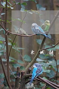 东城继承法专业律师咨询费用 东城继承法专业律师咨询费用