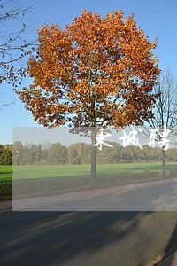 东城聘请债权债务纠纷律师团队 东城聘请债权债务纠纷律师团队