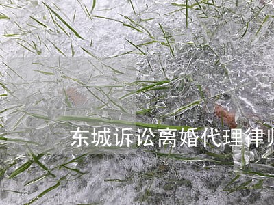 东城诉讼离婚代理律师在线 东城诉讼离婚代理律师在线
