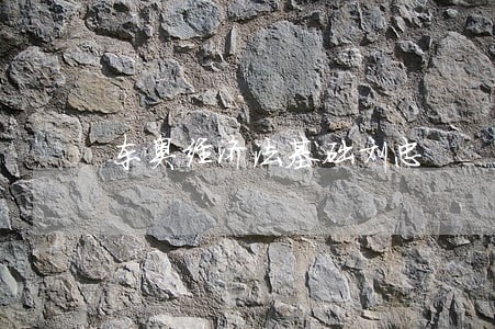 东奥经济法基础刘忠 东奥经济法基础刘忠