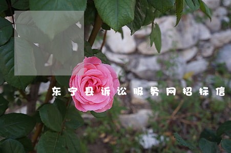 东宁县诉讼服务网招标信息 东宁县诉讼服务网招标信息