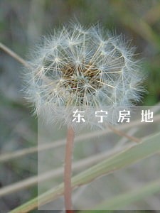 东宁房地产律师 东宁房地产律师
