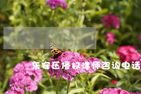 东安区侵权律师咨询电话 东安区侵权律师咨询电话