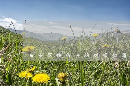 东安区债务违约纠纷律师