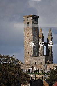 东安区合同诈骗律师 东安区合同诈骗律师