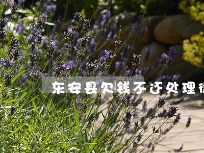 东安县欠钱不还处理律师 东安县欠钱不还处理律师