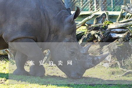东安拍卖网 东安拍卖网