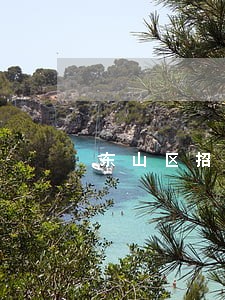 东山区招标投标合同纠纷律师 东山区招标投标合同纠纷律师