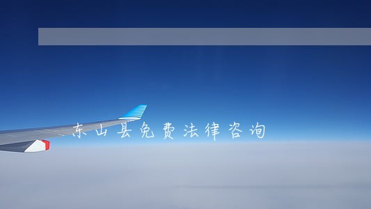 东山县免费法律咨询 东山县免费法律咨询