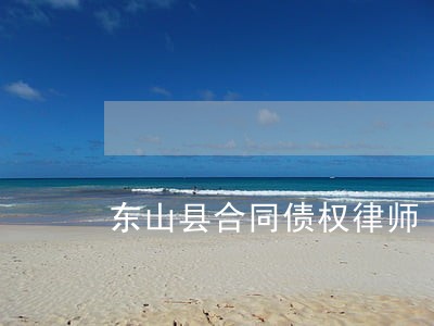 东山县合同债权律师 东山县合同债权律师