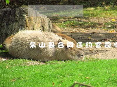 东山县合同违约官司律师 东山县合同违约官司律师